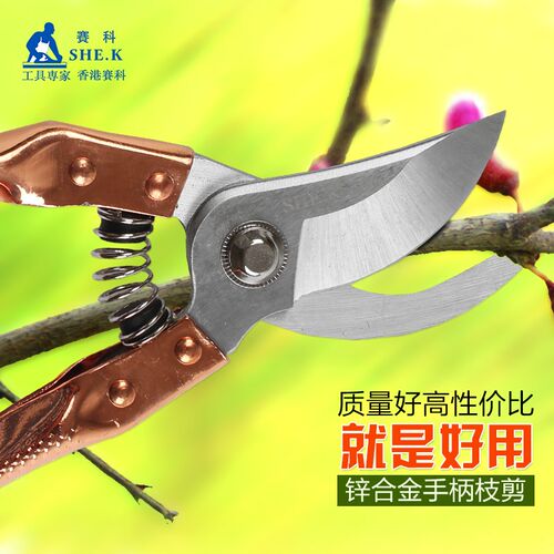 赛科花枝剪刀园艺剪刀修剪树枝果树剪子粗枝剪果修枝剪园林工具
