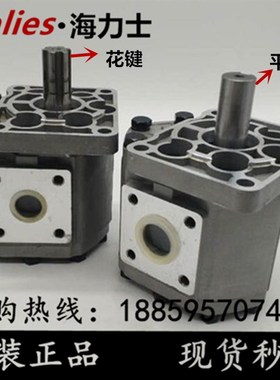 齿轮泵CBN CBT-G520 G525 G532 G540 G550 G563 G580液压油泵BFPL