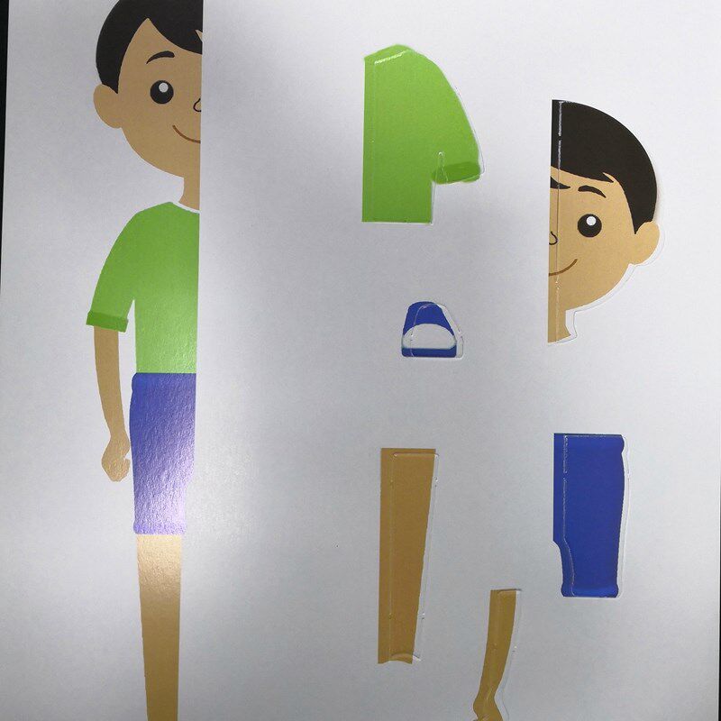 小学科学人体结构拼图A4大小1张