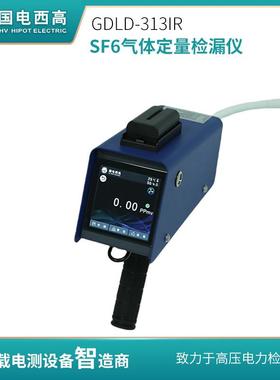 GDLD-313IRSF6气体定量检漏仪高灵敏度的定位和量化