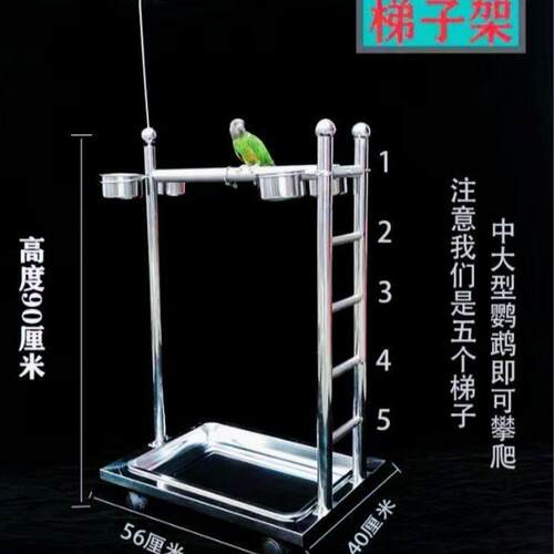 鹦鹉鸟类站架不锈钢鹦鹉站架折衷观赏架梯子架栖息架中大型饲养架