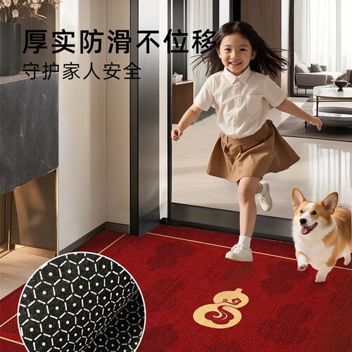 地垫入户门门口家用门垫防滑入户高级红色乔迁脚垫进门可裁剪地毯