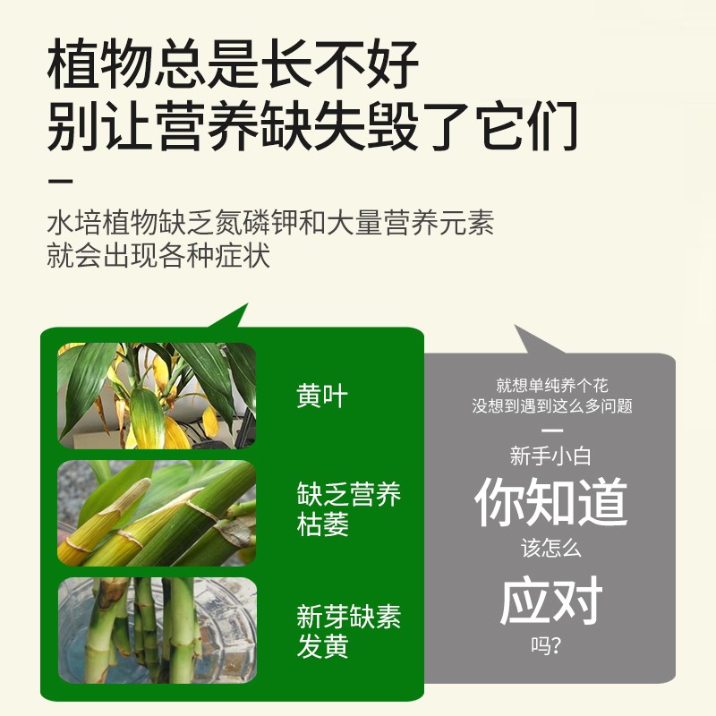 水培植物营养液专用富贵竹转运竹巴西木郁金香绿萝铜钱草通用肥料