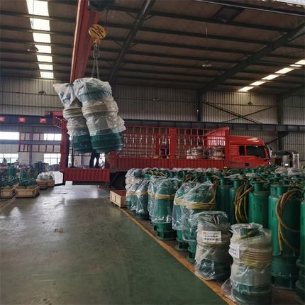 BQS1000-10-75/N潜水泵 内装使用寿命长 矿用隔爆型潜水排沙电泵