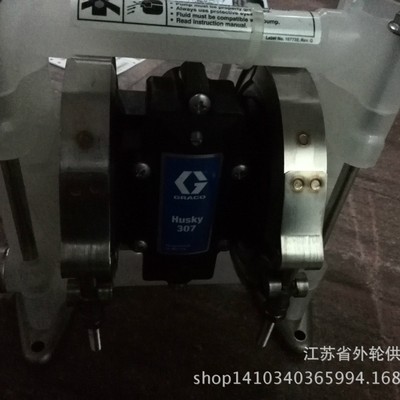 604918 Double diaphragm pump 气动隔膜泵