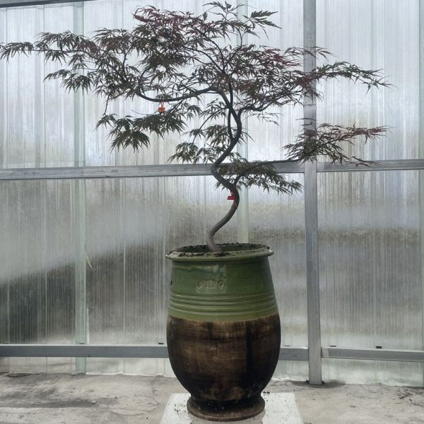欧式风格陶艺花器 落地手拉大釉缸 庭院花园大陶罐