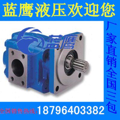 P5100-F63 F80 F100齿轮油泵M5100-F63 F80 F100齿轮马达泊姆克型