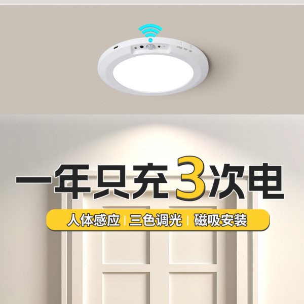 入户门迎宾感应灯玄关充电吸顶灯人来即亮免布线免打孔免安装顶灯