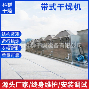 脱水蔬菜带式 干燥机 狗粮猫粮干燥设备 宠物食品烘干机