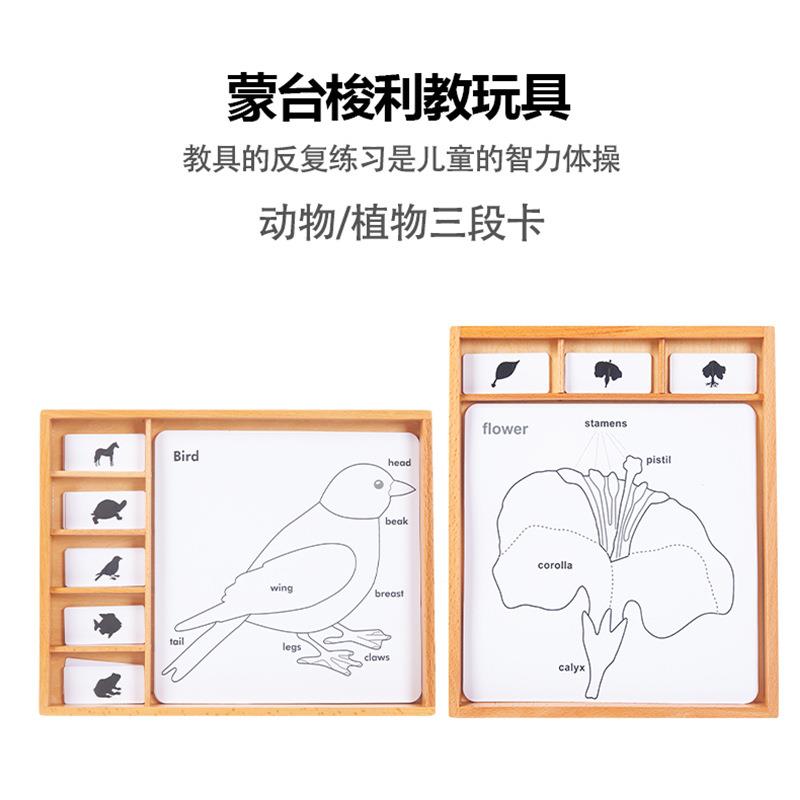 蒙台梭利蒙氏科学类教具动物植物三段木盒PVC卡片幼儿园早教