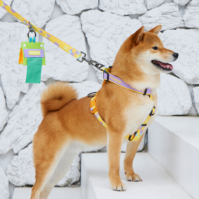 狗狗牵引绳柴犬柯基宠物网红遛狗绳子外出防挣脱爆冲工字型胸背带