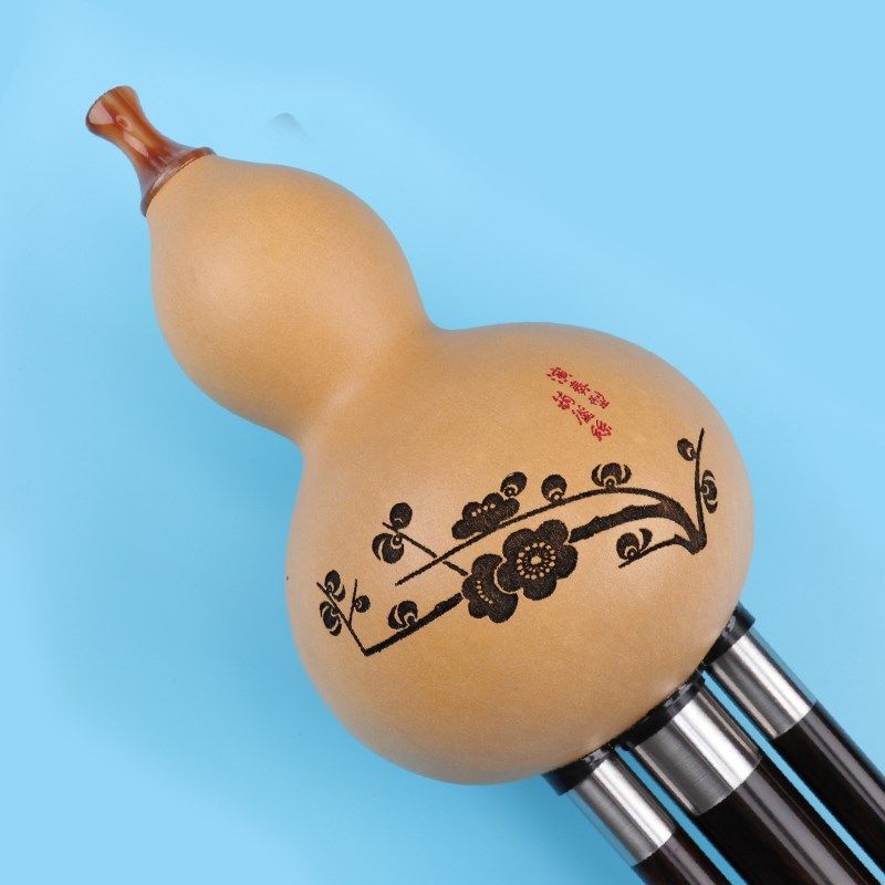 葫芦丝c调降b调F调G调黑檀木加接推拉杆成人演奏型云南葫芦丝