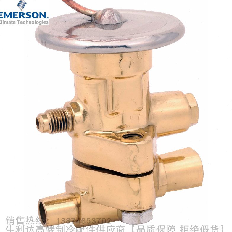 EMERSON/艾默生R22可拆式热力膨胀阀TER22HC TER22HW100