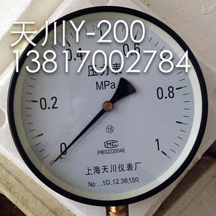 上海天川仪表Y-200普通弹簧管式压力表0-1MPA 天川 水压表 气压表