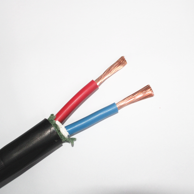 起帆电线电缆VV2*10平方动力软线0.6/1kNv全铜国标二芯进户电源线