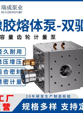 多型号橡胶预成型产线橡胶泵sus440b材质50-500cc橡胶熔体泵