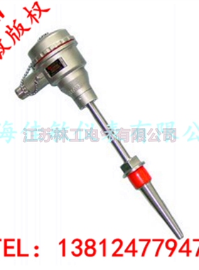 冲冠防爆热电偶 WRN-230 WRC-430 WRF-433 dIICT6级WZP-230