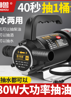 油水两用电动抽油泵12V220V24V伏直流高压水泵柴油泵加油机抽油器
