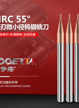络伊塔55度钨钢小径铣刀2刃0.15-0.9mmCNC整体合金数控微小径铣刀