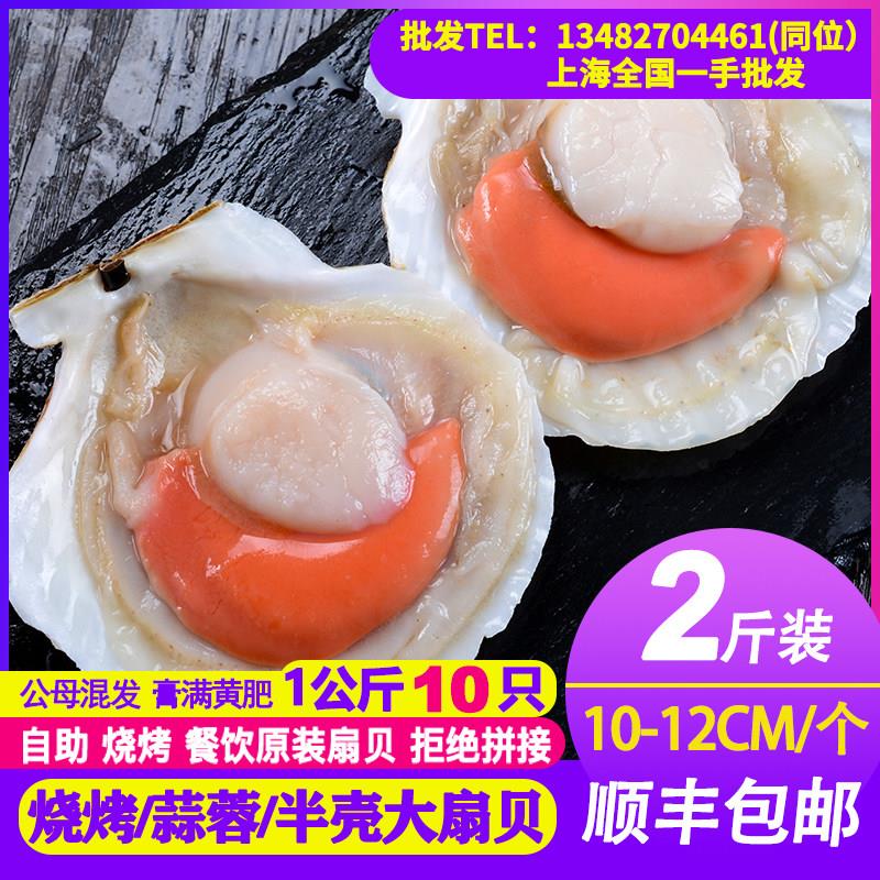 虾夷大扇贝带壳超大冷冻半壳扇贝肉烧烤海水产蒜蓉粉丝大元贝2斤