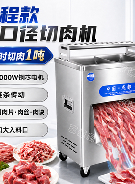 多功能商用切片切丝开条机