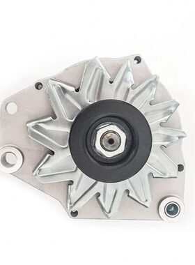 时风1804发电机AVE1811B2发电机1000415809发电机