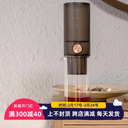 泰摩 小i 家用冰滴 咖啡壶 咖啡机冰酿滴滤式咖啡 手冲冷萃冰酿壶
