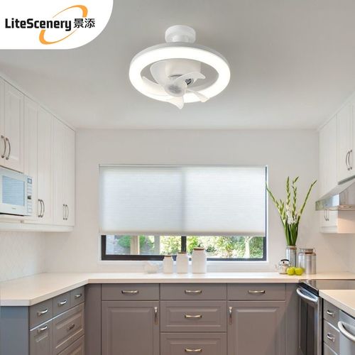 新款e27螺口摇头风扇灯简约节能LED智能遥控厨房卧室吸顶吊扇灯