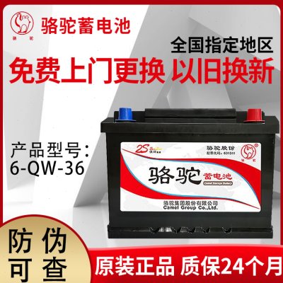 骆驼电瓶12V36AH适用飞度奥拓雨燕夜市照明背机专用汽车蓄电池