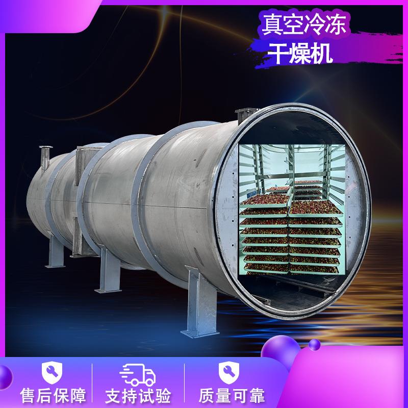 商用真空冷冻干燥机厂家小型果蔬冻干设备宠物食品肉类冻干机大型
