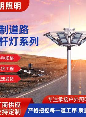 晟明高杆灯灯杆户外led高杆灯镀锌路灯杆交通指示柱杆