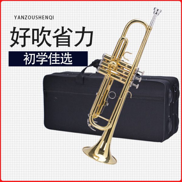 文彦小号 降B调三音号 考级专业演奏 学校学生初学 西洋乐器