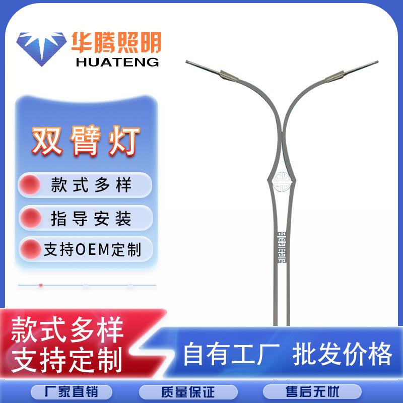 厂家供应景区庭院道路灯小区道路灯欧式异形道路灯超亮