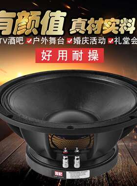 雷顿NR工厂直销高品质12寸15寸18寸大功率全频演出扬声器喇叭