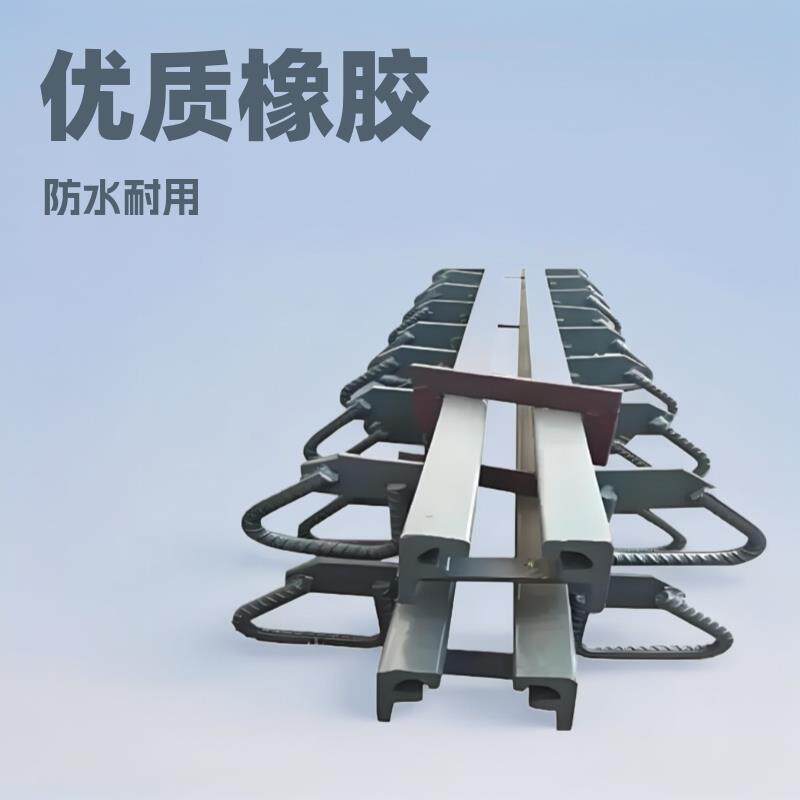 广桥公路桥梁伸缩缝C40F60D80E160型毛勒缝模数式伸缩缝