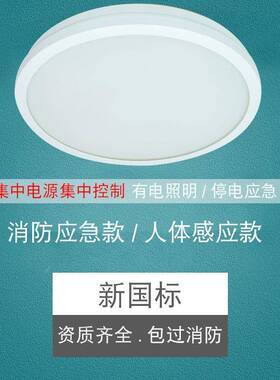 振辉36V低压智能吸顶灯LED过道走廊灯具楼梯灯雷ZF-ZFJC-E7W-8332