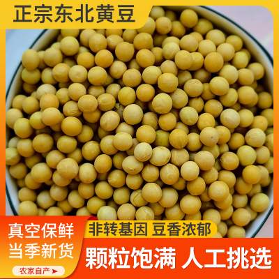 2025年新黑龙江东北非转基因新黄豆农家自种大豆生豆芽打豆浆专用