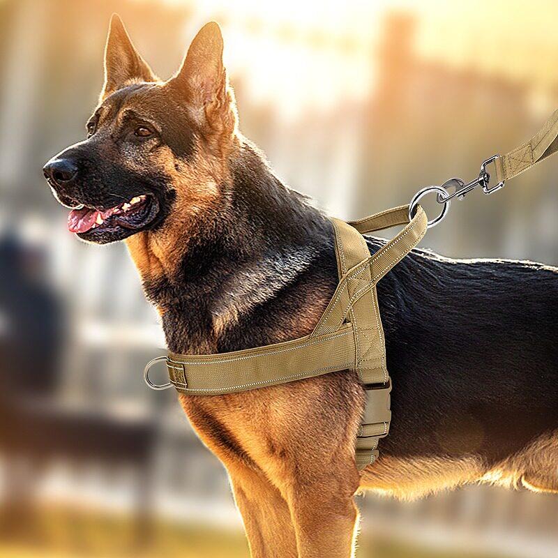 狗狗胸背带中大型犬狗脖圈背心式牵引绳马犬金毛德牧边牧宠物脖套