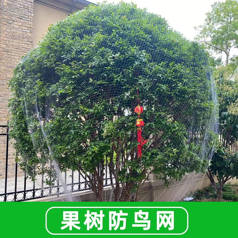 果树防鸟网尼龙加厚果园樱桃蓝莓葡萄专用 抗老化防紫外线耐用5年