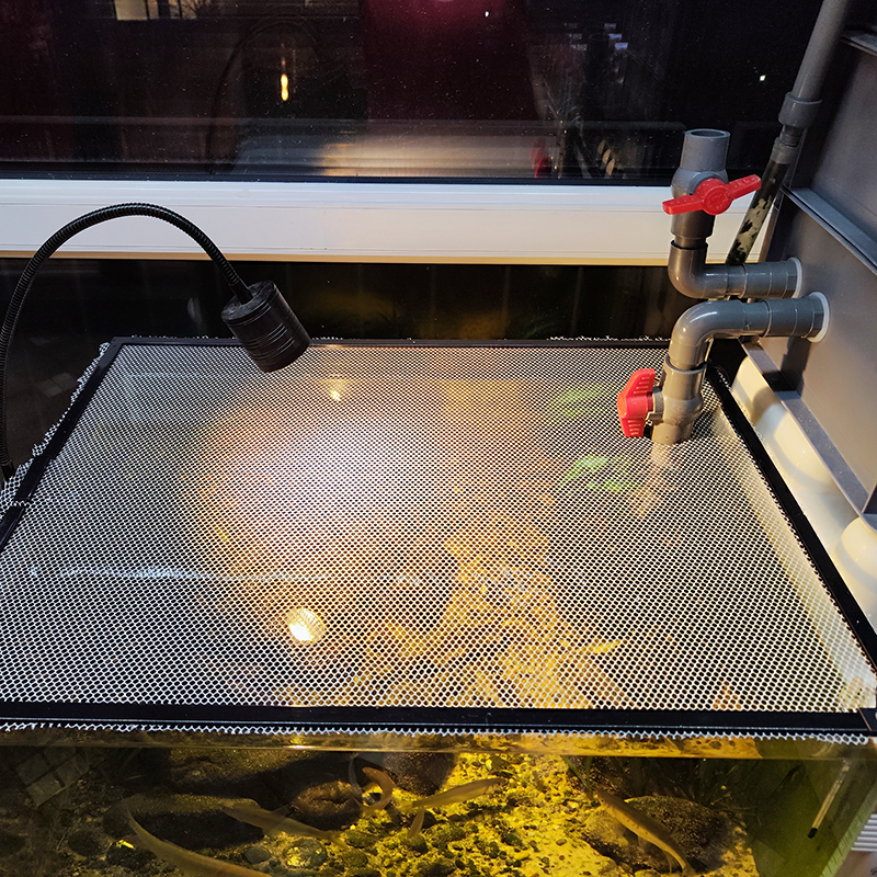 新款加装投喂装置鱼缸防跳网加厚磁铁条磁吸防逃盖电龙防跳网乌龟