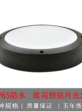 现货供应led防水防潮压铸铝壁灯贴片15W庭院灯圆形壁灯200直径