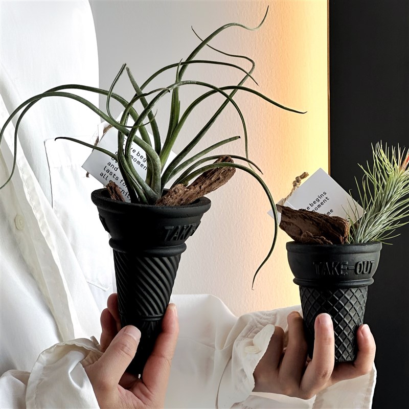 无土盆栽植物空气凤梨支架高级感办公室客厅斗柜绿植装饰桌面摆件