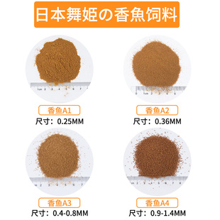 舞姬香鱼小型鱼增加高蛋白不浑水长个快增色小鱼幼鱼苗饲料
