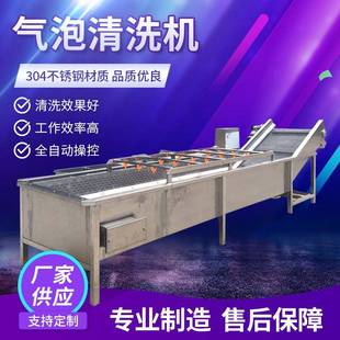 水果果蔬清洗机气泡洗菜机土豆净菜蔬菜加工涡流清洗设备