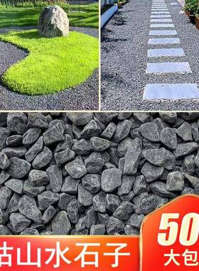 枯山水造景深灰色黑色砾石水洗石日式庭院装饰景观青石碎石子米石