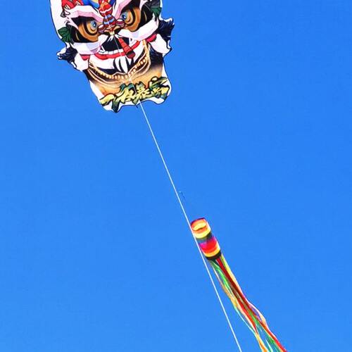 软体龙年风筝3D立体大型高档一夜暴富狮子新年大人专用微风易飞