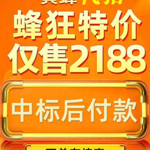 黄蜂代拍 中标快 中标后付款不中即赔款