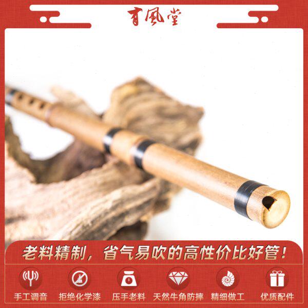 有风堂高档专业初学者入门洞箫民族乐器萧紫竹素长短八孔演奏gf调