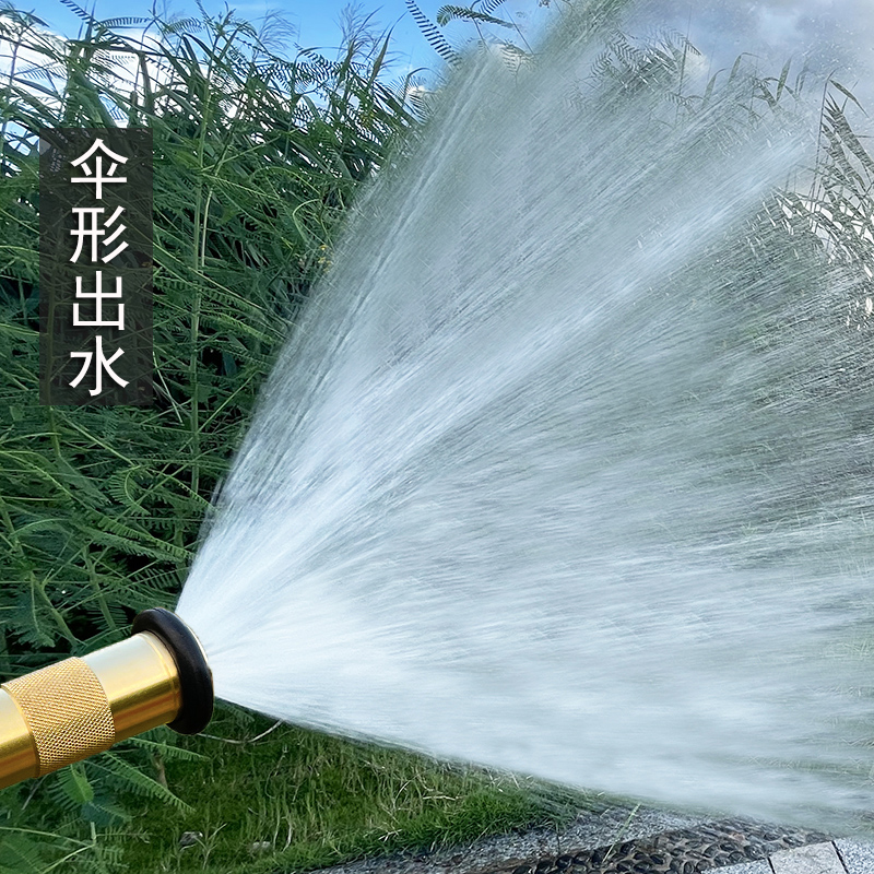 大流量纯铜冲洗喷灌花洒浇水神器水泵浇地雾化喷头浇菜专用水枪头
