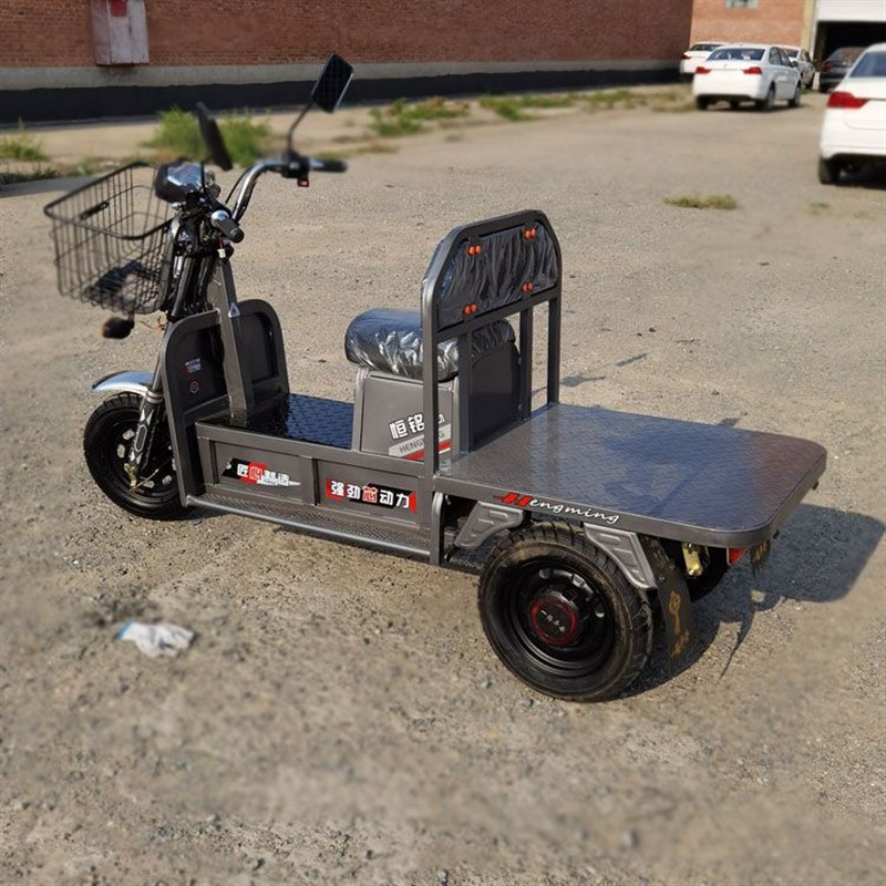 电动带兜三轮车长跑电瓶代步车家用农用货车载重王拉货牛马大力重